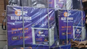250Ah-12Volts Blue Power