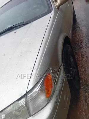 Toyota Camry 2001 Gray