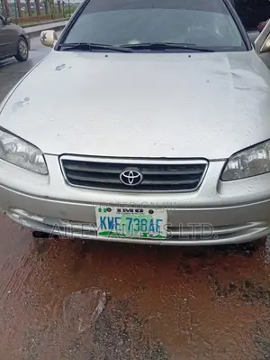 Toyota Camry 2001 Gray
