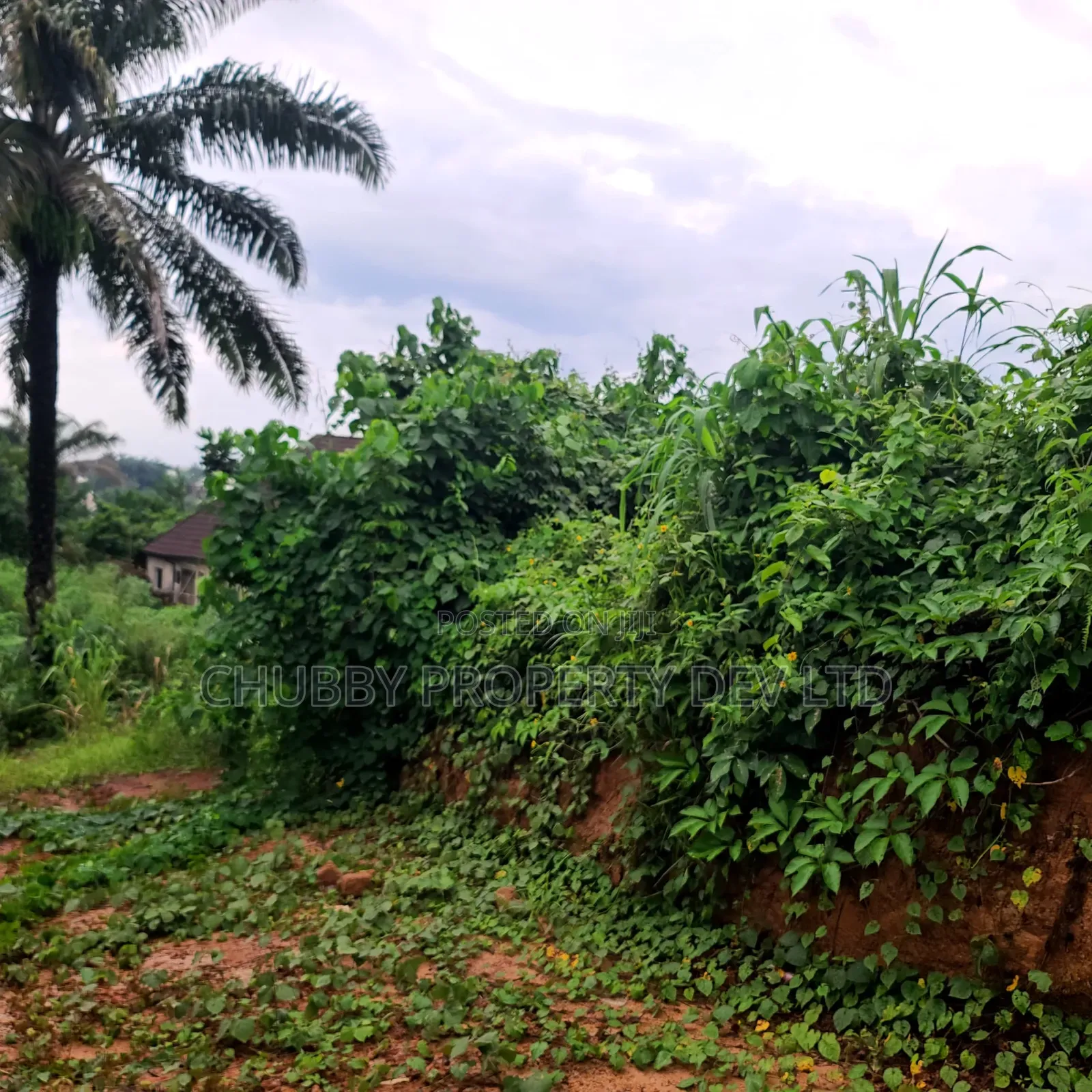 Plot for Sale