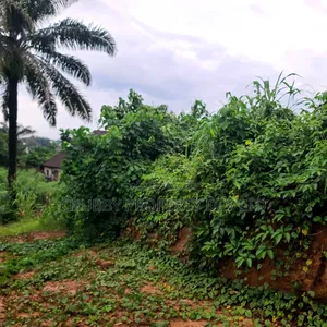Plot for Sale