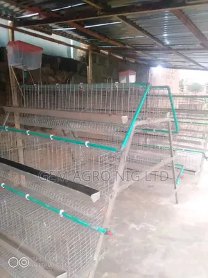 Layers Cage