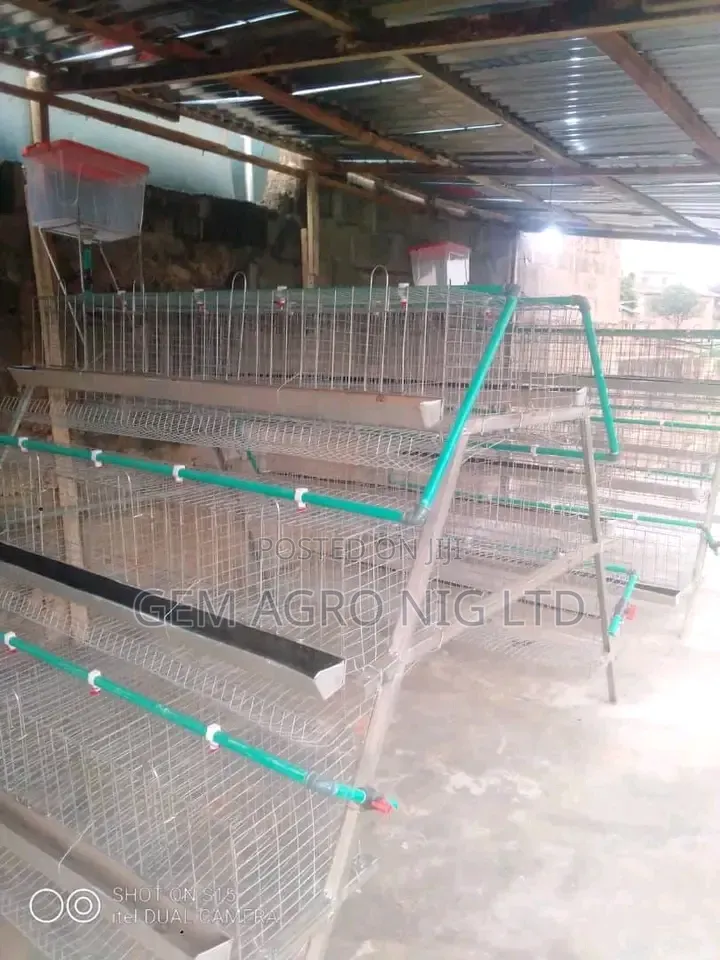 Layers Cage