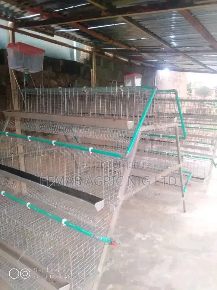 Layers Cage