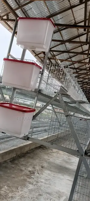 Layers Cage