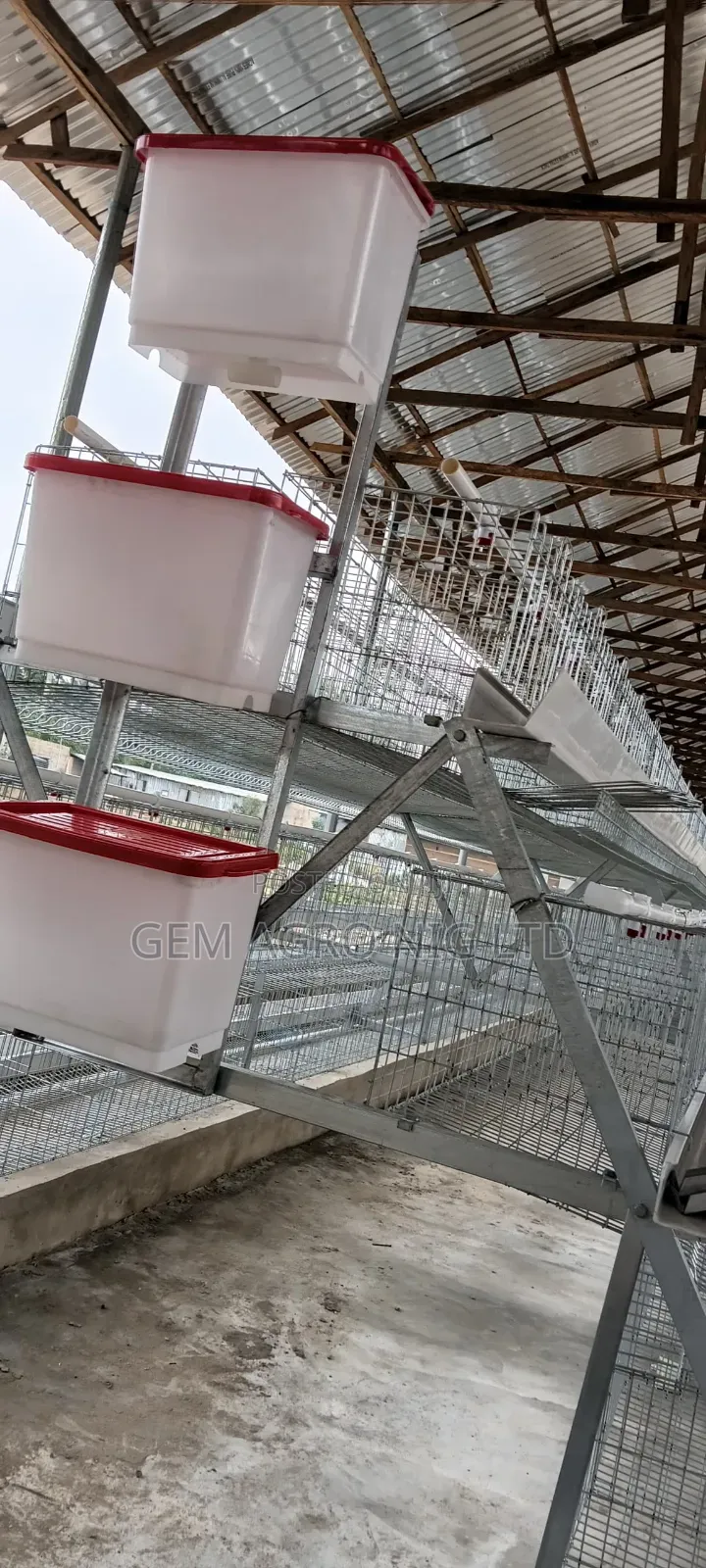 Layers Cage