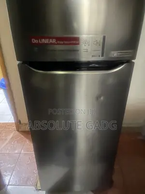 LG Fridge 380l