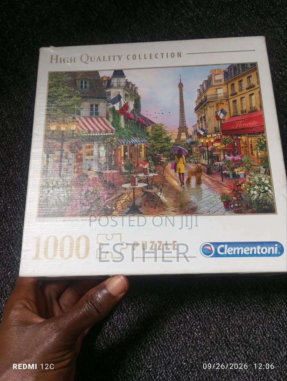 1,000 Piece Puzzle
