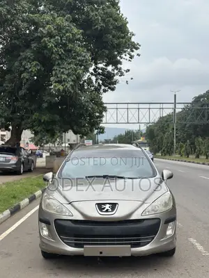 Peugeot 308 2010 Gray
