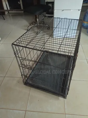 1-3 months Male Purebred Dog