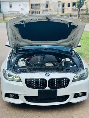 BMW 5 Series 2016 White