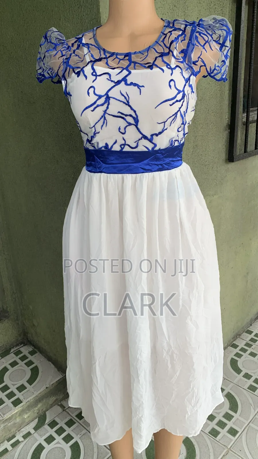 Ladies Dress