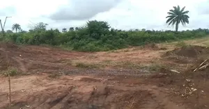 Cheap Land for Sale in Owerri