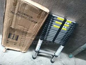 4.4m Telescopic Ladder