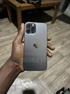 Apple iPhone 12 Pro Max 256 GB Gray