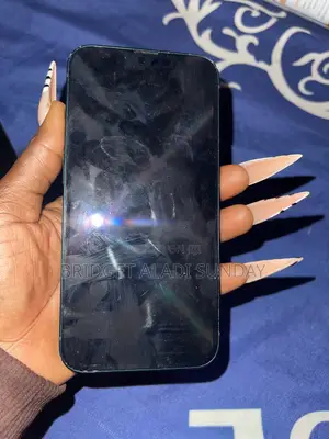 Apple iPhone 13 256 GB Graphite