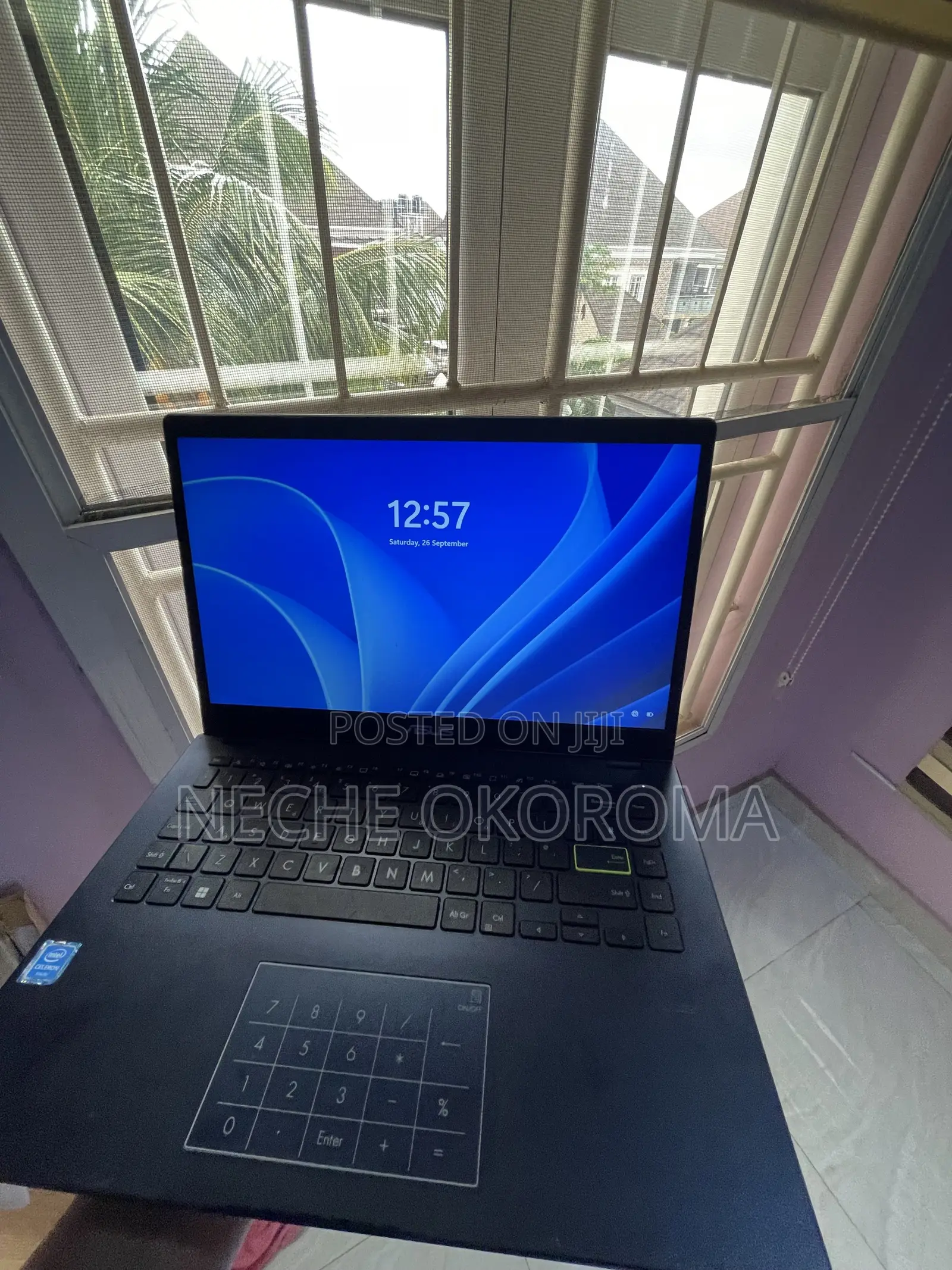 Laptop Asus Vivobook 14 4GB Intel Celeron SSD 512GB