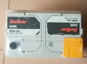 Delkor AGM Battery LN3