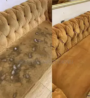 Upholstery Cleaning