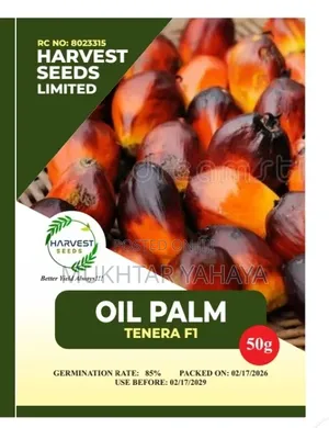 Oil Palm ,Tenara F1
