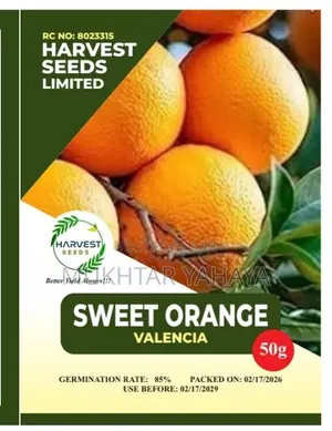 Sweet Orange, Valencia