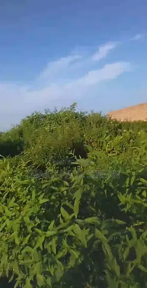 Land for Lease
