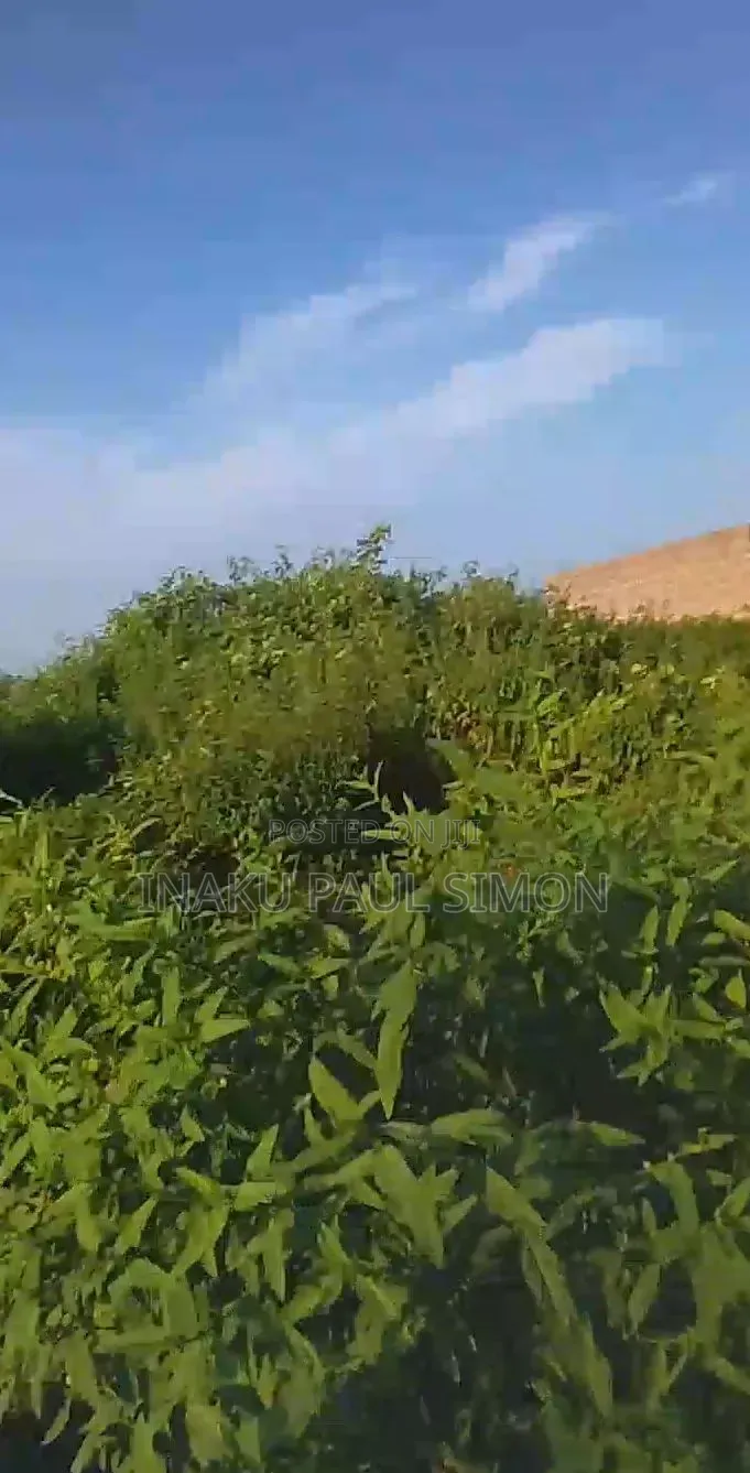 Land for Lease
