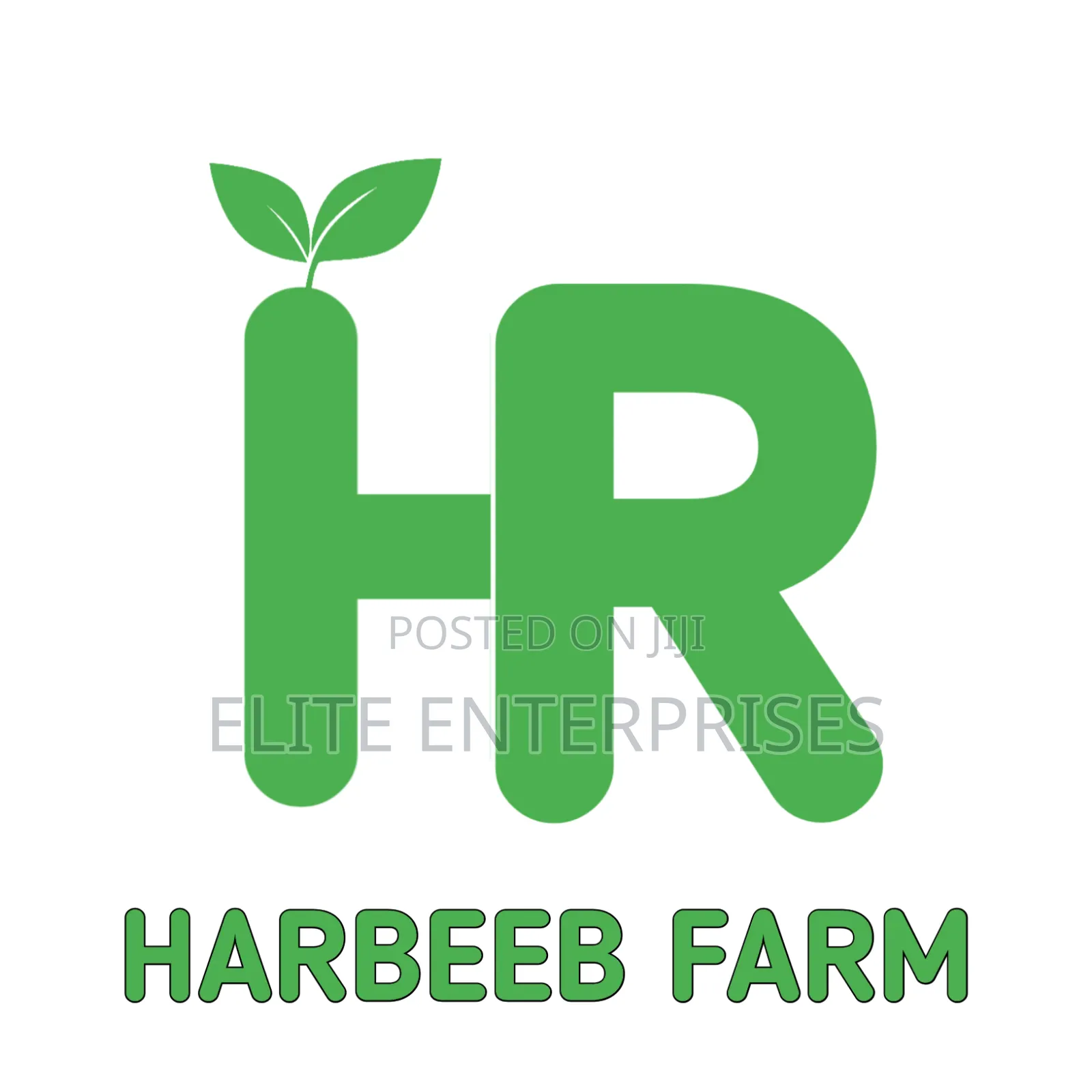 Graphics Logo Designer