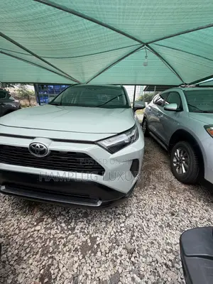 Toyota RAV4 2024 Gray
