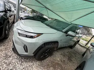Toyota RAV4 2024 Gray