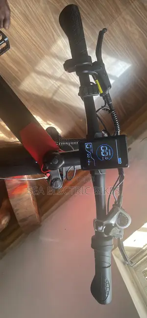 Foldable Electric Bike / E Bike