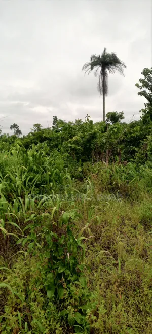 464.52 SQM Land for Sale at Obibiezena, Amaeze Okolochi Road