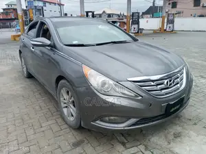 Hyundai Sonata 2011 Gray