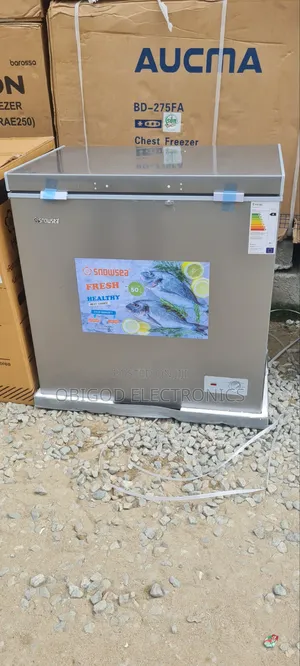 Snowsea 258 Freezer