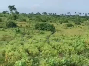 380 Plots for Sale in Mbom Ibeku, Umuahia