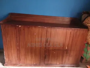 Cabinet for Any Storage