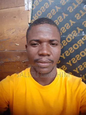 Am Truck Driver