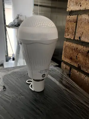 DP 9W Portable LED Bulb for Power Outages