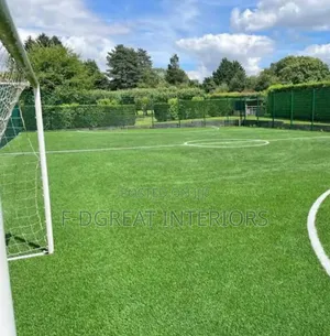Standard Football Pitch Grass