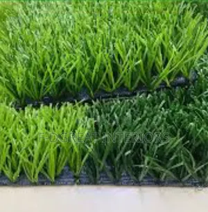 Football Grass Highest Quality