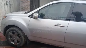 Acura MDX 2009 Silver