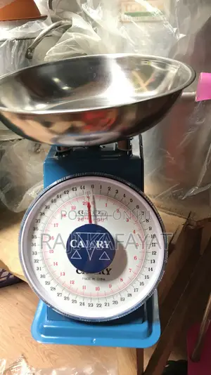 Spring Scale