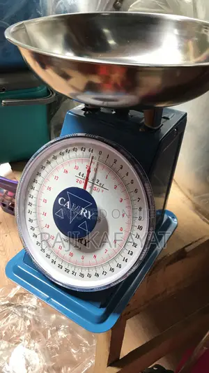 Spring Scale