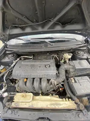 Toyota Matrix XR Hatchback AWD (1.8L 4cyl 4A) 2006 Blue