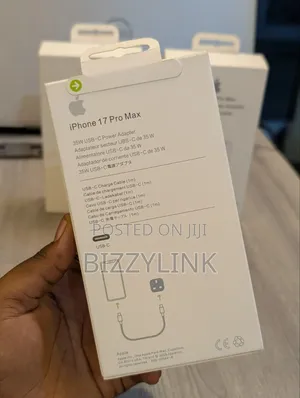 iPhone Charger