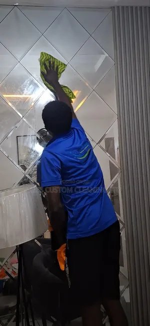 Professional Deep Cleaning, Upholstery Cleaning