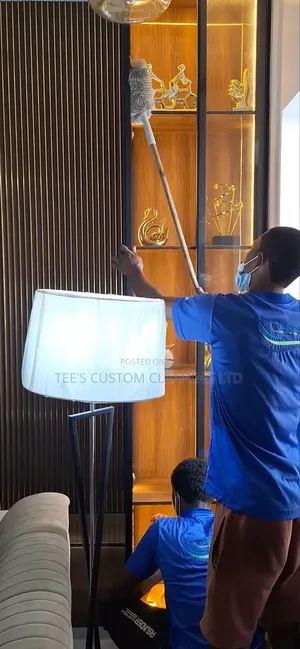Professional Deep Cleaning, Upholstery Cleaning