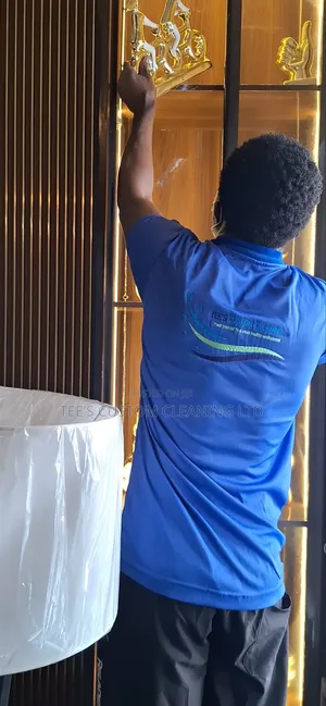 Professional Deep Cleaning, Upholstery Cleaning
