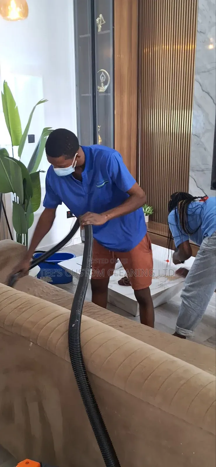 Professional Deep Cleaning, Upholstery Cleaning