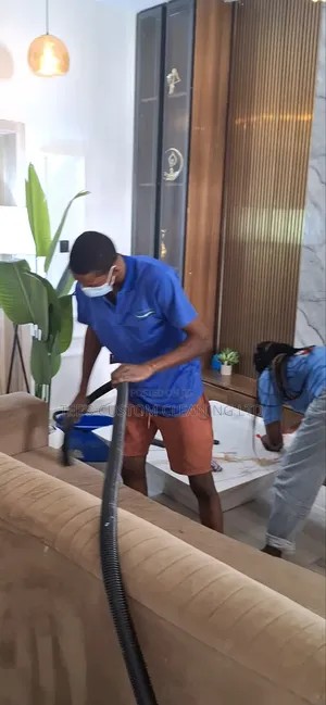 Professional Deep Cleaning, Upholstery Cleaning